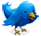Follow on Twitter